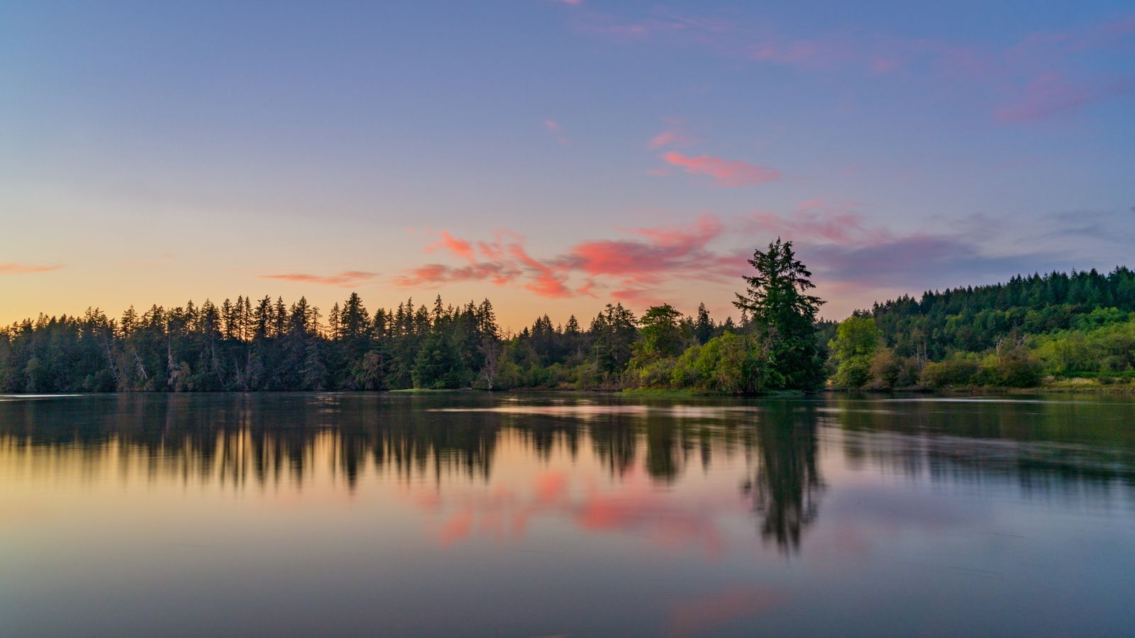 Calm lake surface at dawn in soft pink and blue light