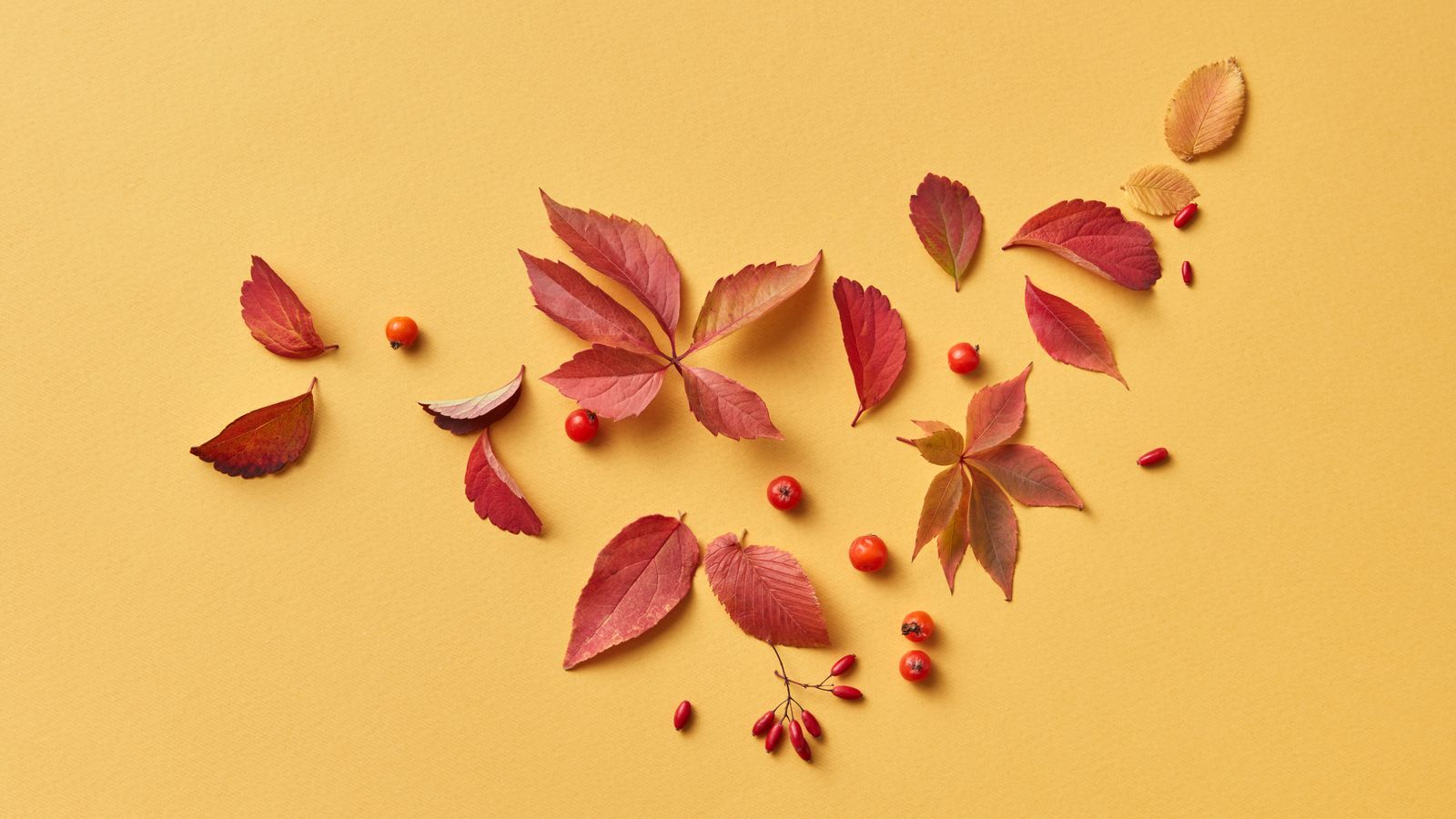 Autumn leaves in warm tones scattered on a pale tabletop